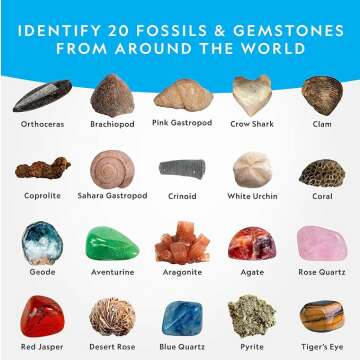 Mega Fossil Gemstone Kit for Nature Exploration