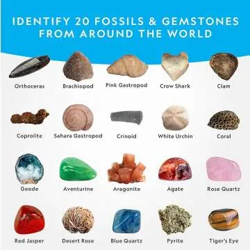 Mega Fossil Gemstone Kit for Nature Exploration