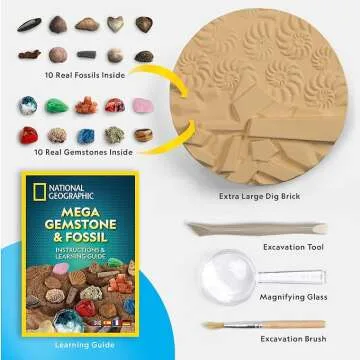 Mega Fossil Gemstone Kit for Nature Exploration