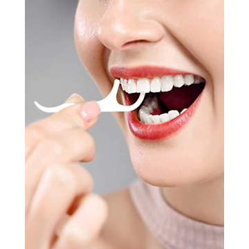 Holy Rose Dental Floss Picks Portable Dispenser Travel Case