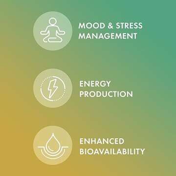 Dr. Mercola Vitamin B Complex for Energy and Mood