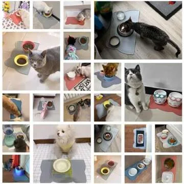 Cat Food Mat, Silicone Pet Feeding Mat for Floor Non-Slip Waterproof Dog Water Bowl Tray Cushion (20" x 12", Tea Rose)