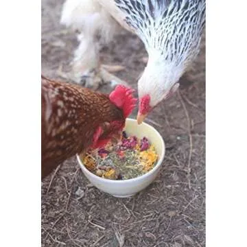 Best Herbs for Happy Chickens and Better Eggs 10 oz