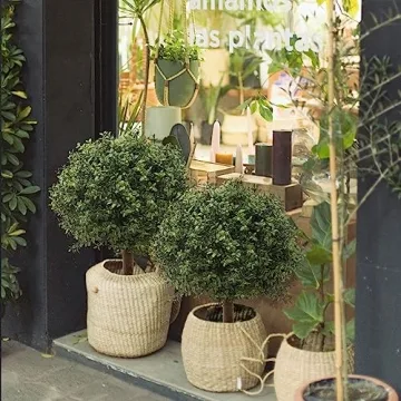 Elegant JUSTOYOU 24.5'' Artificial Boxwood Topiary Trees