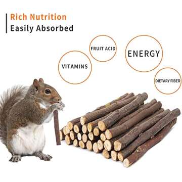 Premium Apple Chew Sticks for Small Pets - 150 Pieces