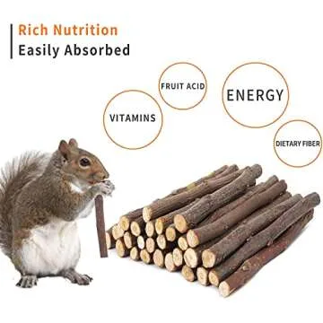 Premium Apple Chew Sticks for Small Pets - 150 Pieces