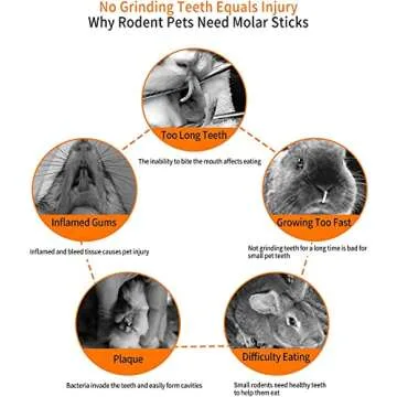 Premium Apple Chew Sticks for Small Pets - 150 Pieces