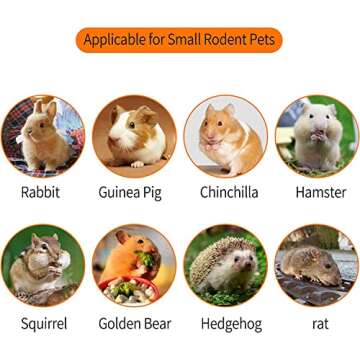 Premium Apple Chew Sticks for Small Pets - 150 Pieces