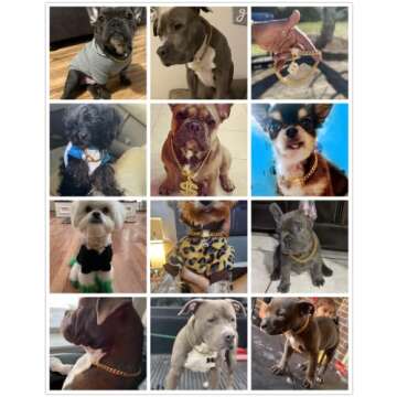 Aiyidi Gold Dog Chain Collar 10mm Wide Cuban Link Puppy Collar 316L Stainless Steel with CZ Diamond Lock Bling Collar for Large Medium Small Dogs(10mm Gold,8inches)