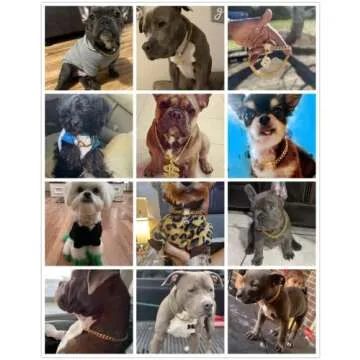 Aiyidi Gold Dog Chain Collar 10mm Wide Cuban Link Puppy Collar 316L Stainless Steel with CZ Diamond Lock Bling Collar for Large Medium Small Dogs(10mm Gold,8inches)