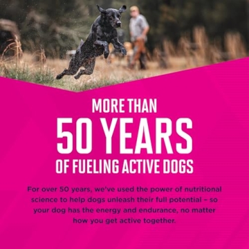 Eukanuba Puppy Small Breed Dry Dog Food, 4.5 lb (Pack of 1)