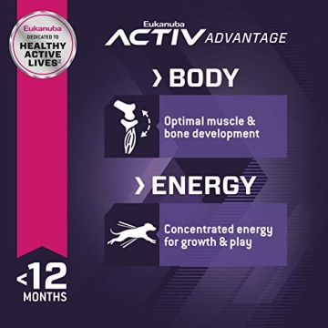 Eukanuba Puppy Small Breed Dry Dog Food, 4.5 lb (Pack of 1)