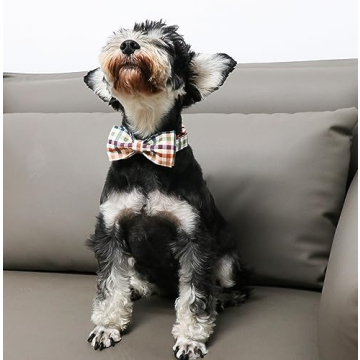Stylish Cotton Dog Collar with Bow Tie for All Sizes