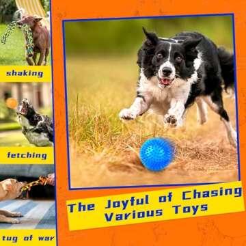 Zeaxuie Luxury Tough Dogs Toys for 5-50lbs Dogs -14 Pack Valued Dog Toys for Small,Medium Breed & Large Breed with Interactive Rope Toys,Squeaky Chew Toys for Teething