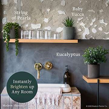 Modern Planter Fake Potted Plants Decor (3 set) - Farmhouse Plants up to 12"- Use Fake Plants for Shelves, Fake Desk Plants or Desk Decor. Faux Potted Plant for Farmhouse Office Decor, Bathroom Plants