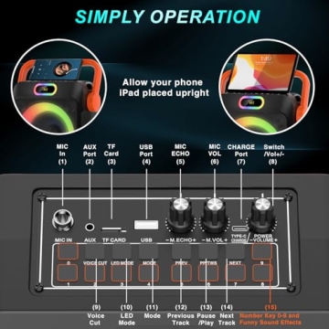 Portable Karaoke Machine with Two Wireless Microphones