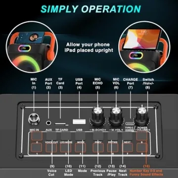 Portable Karaoke Machine with Two Wireless Microphones