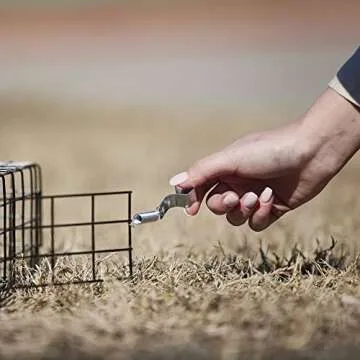 Rugged Ranch Squirrel Trap, Live Animal Catch & Release Cage, Squirrelinator