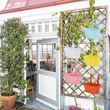 Colorful Glory Island Hanging Floor Planters - 5 Pack