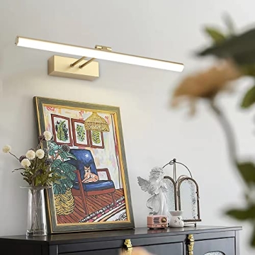 HOWMZON Battery Operated Picture Light with Remote Control