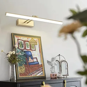 HOWMZON Battery Operated Picture Light with Remote Control