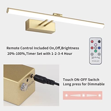 HOWMZON Battery Operated Picture Light with Remote Control