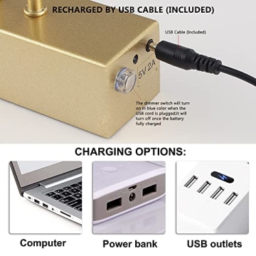 HOWMZON Battery Operated Picture Light with Remote Control