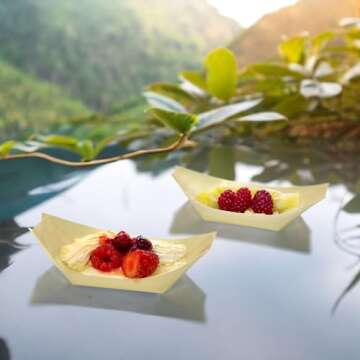 BambooMN Eco-Friendly Wood Boat Dishes - 100 Pieces 6.7"