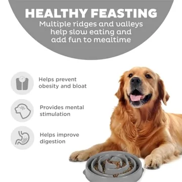 Outward Hound Slo Bowl for Healthy Dog Eating