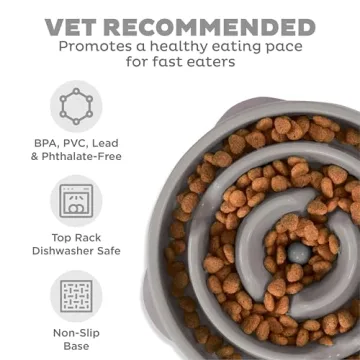 Outward Hound Slo Bowl for Healthy Dog Eating