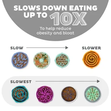 Outward Hound Slo Bowl for Healthy Dog Eating