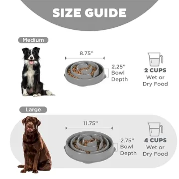 Outward Hound Slo Bowl for Healthy Dog Eating