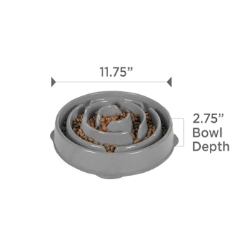 Outward Hound Slo Bowl for Healthy Dog Eating