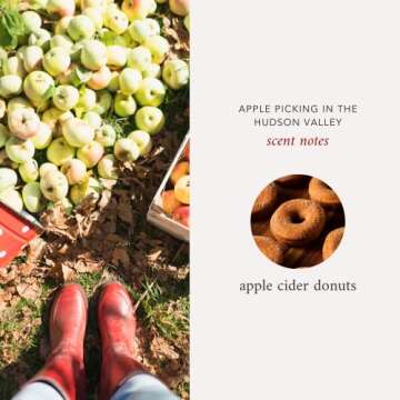 Literie NYC Inspired Scented Candle: Apple Picking in The Hudson Valley - Apple Cider Donuts Scented, 9oz, 50 Hour Burn, Vegan Soy & Coconut Blend Candle for Home Decor, Gift for Women & Men