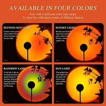 Ronly Sunset Lamp - 4 Colors with 360 Rotation Light