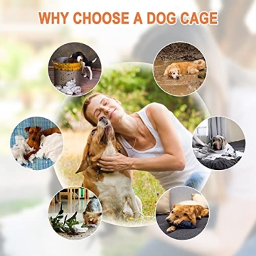 Durable Double Door Dog Crate for Large Dogs