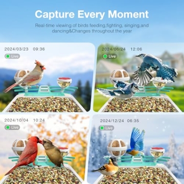Smart Bird Feeder with Camera for Bird Watching Enthusiasts