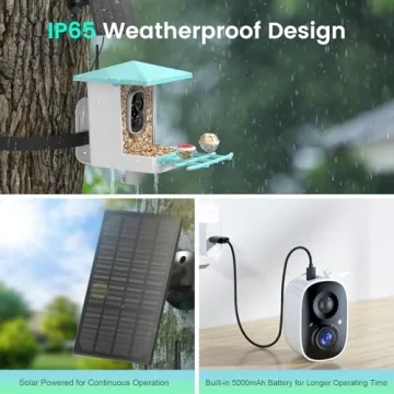 Smart Bird Feeder with Camera for Bird Watching Enthusiasts