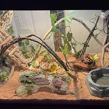 PINVNBY Reptile Hollow Tree Trunk Decoration,Resin Lizard Hideouts Log Hideaway,Crested Gecko Habitat Cave Decor,Aquarium Decaying Trunk Driftwood Ornament for Bearded Dragon Snake Betta Spider(3Pcs)