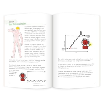 Whiplash Recovery Insights: Neuroscience Education