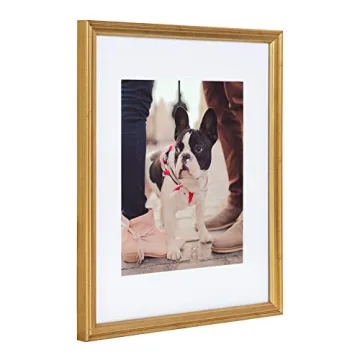 Kate and Laurel Adlynn Gold Frame Set - 4 Stylish Frames