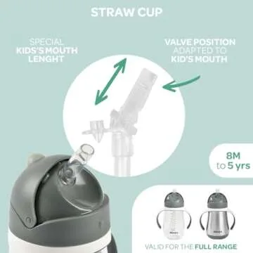 Beaba Stainless Steel Straw Sippy Cup, Sippy Cup with Removable Handles, Sippy Cup with Straw, 8+ months, 8.5 oz (Rose)