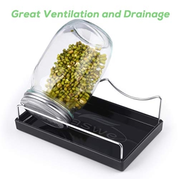 Seed Sprouting Jar Kit for Homegrown Microgreens