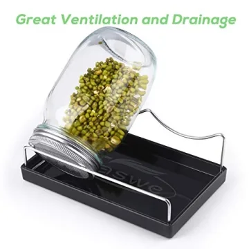 Seed Sprouting Jar Kit for Homegrown Microgreens