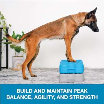 Blue-9 Propel Air Platform Kit, Professionally Designed Dog Training Accessories and Pet Products, 2-Pack (Gray)