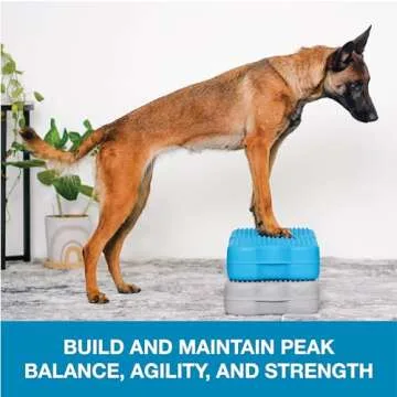 Blue-9 Propel Air Platform Kit, Professionally Designed Dog Training Accessories and Pet Products, 2-Pack (Gray)