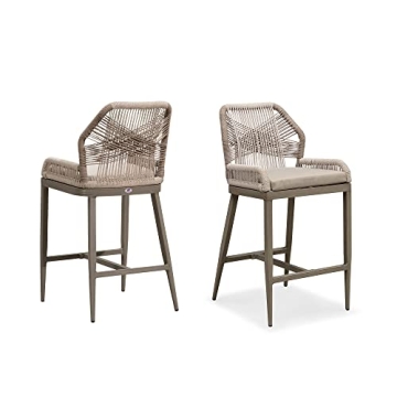 PURPLE LEAF Counter Height Bar Stools Set of 2 Rattan Woven Aluminum Modern Barstools with Back and ...
