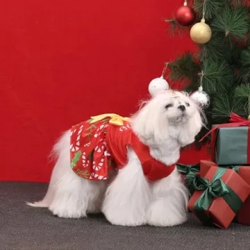 CuteBone Dog Mesh Dress for Small Dogs Fashion Outfit