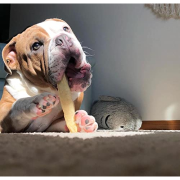 EcoKind Premium Gold Yak Cheese Chews for Dogs