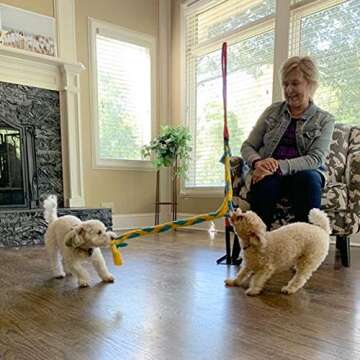 Tether Tug Kit | Ideal Interactive Toy for Small Dogs